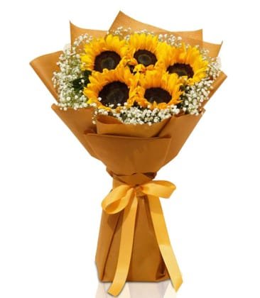 Francisco Ayçiçeği