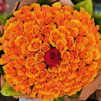 Turuncu Kırmızı Aşk