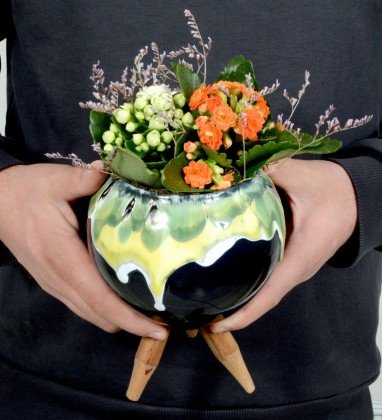 Özel Tasarım Saksıda Kalanchoe