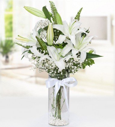 Vazoda Beyaz Lilyum